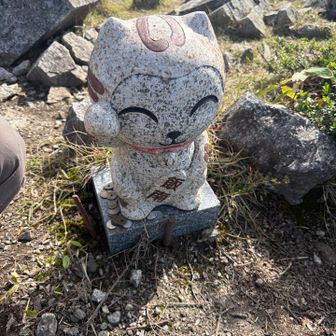 猫🐱がいます。