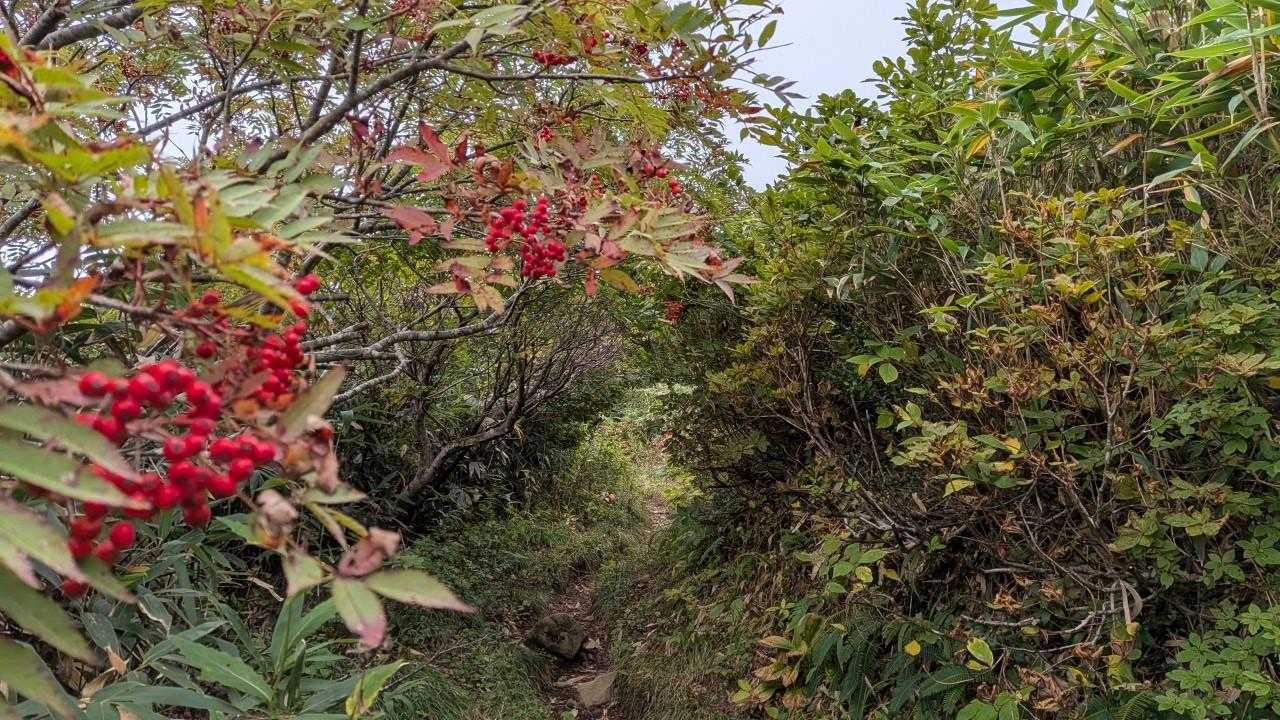 可愛い🔴