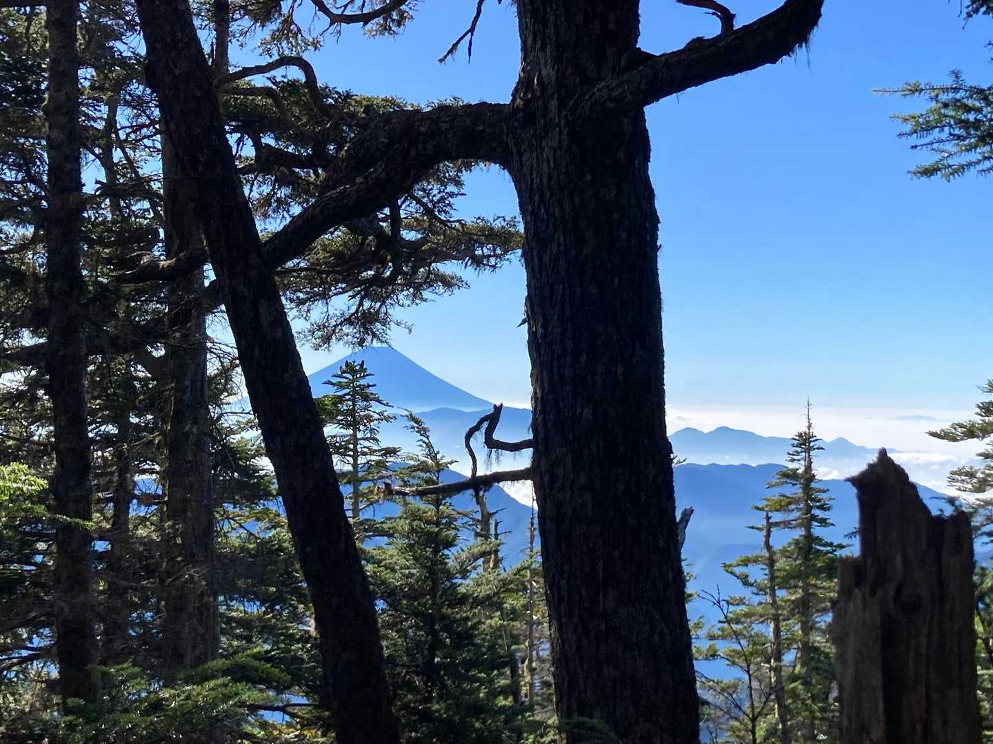 振り返ると富士山🗻
思わず歓声🎶
