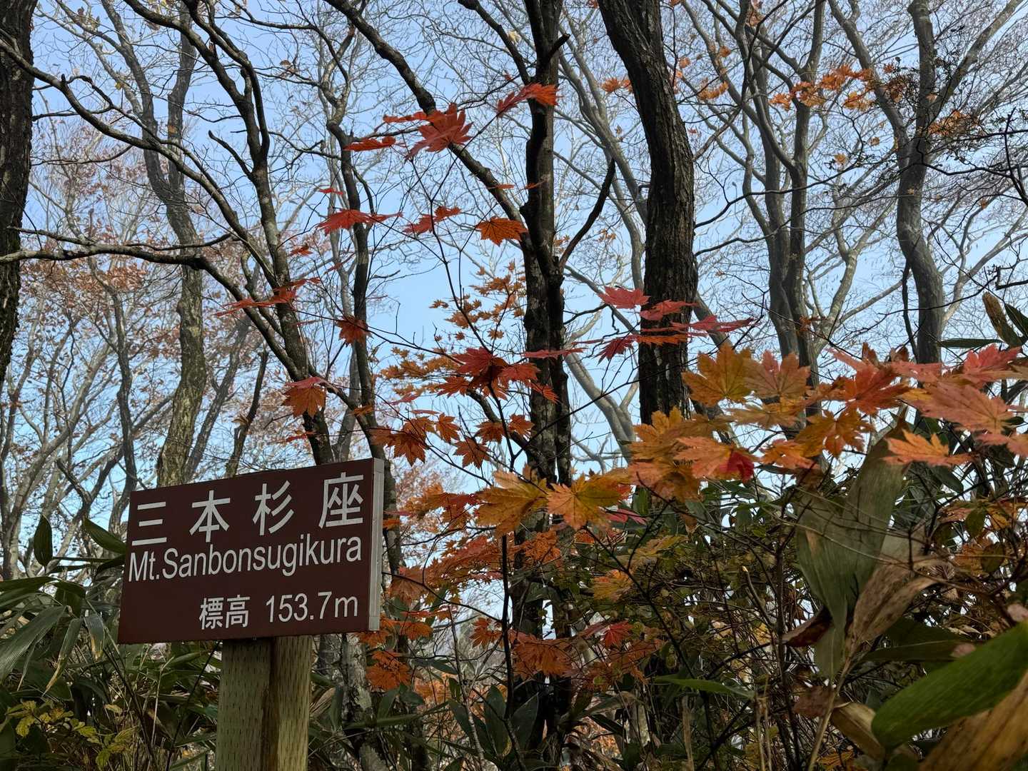 yamapだと「頂上三本杉座」って山名になってるのは文字打ち間違いか何かだろうか🤔