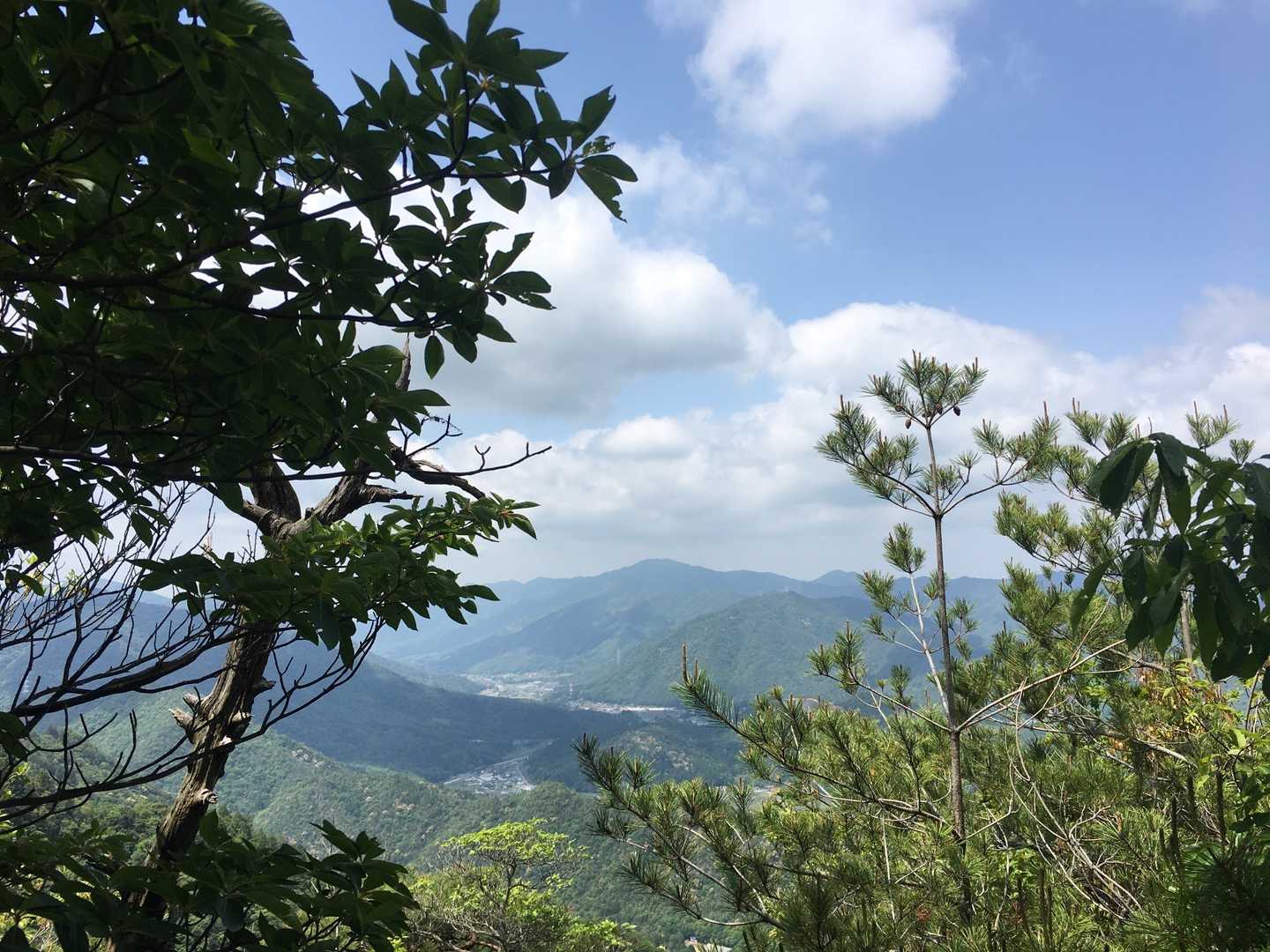 展望