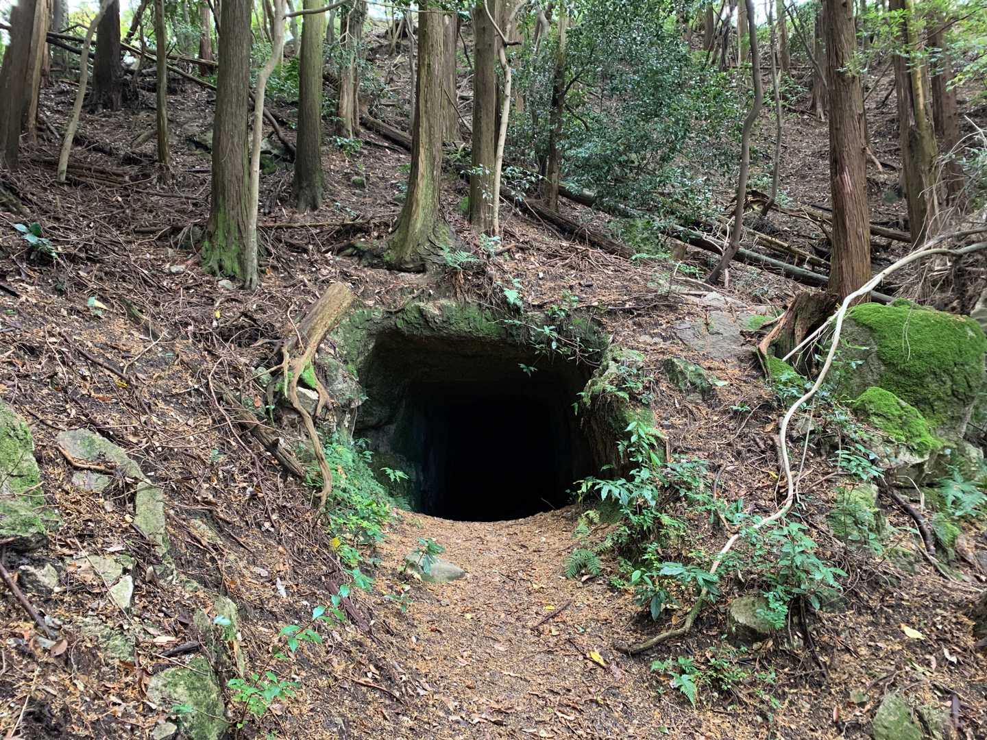 うお、洞窟や😳