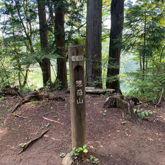 惣岳山山頂にとうちゃく
計画より19分早い