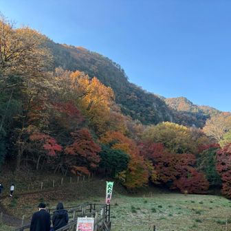 カタクリ登山口からの風景です‼️