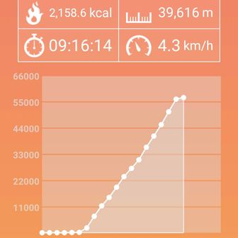 今日の歩数は56595歩です✌（頑張りました💪）
私はチビだから、歩数は多めです😂