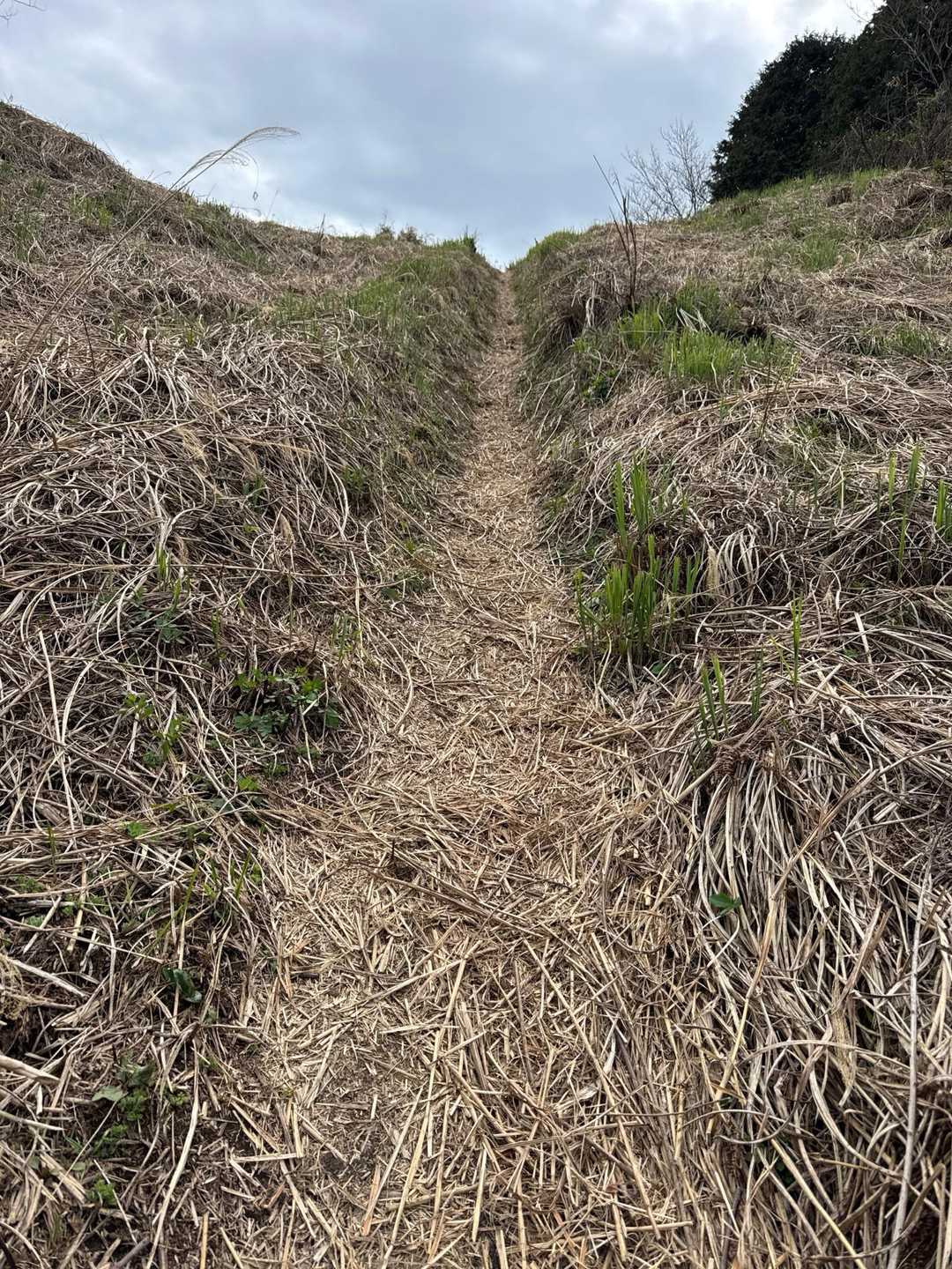 山があると登りたくなる