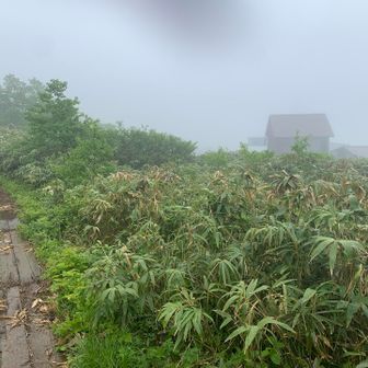 無事に下山
お疲れ山でした^_^
小屋もバス🚌超満員でした（笑）
