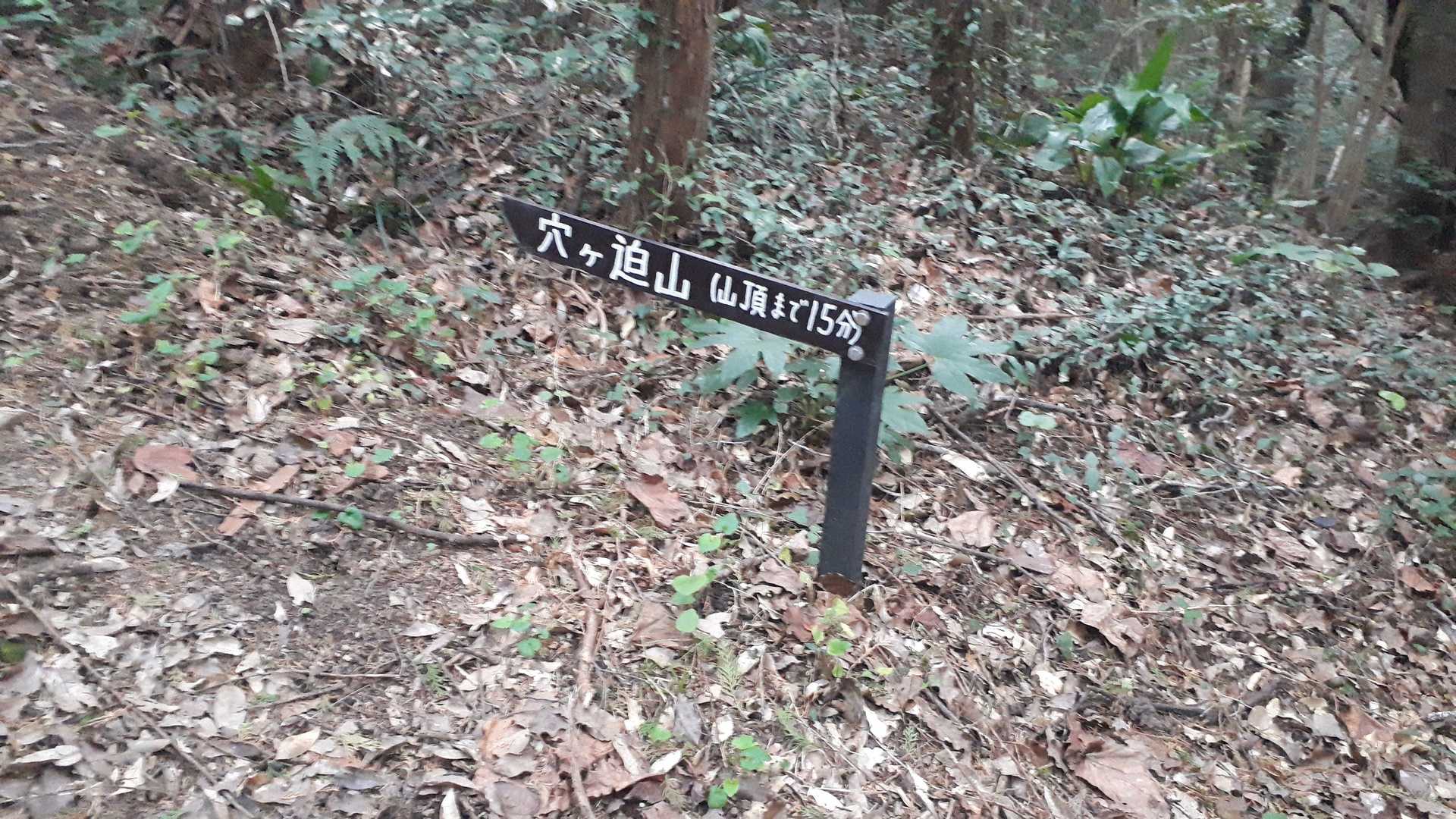 穴ヶ迫山へ