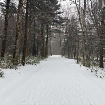 ここからは延々と歩きます
