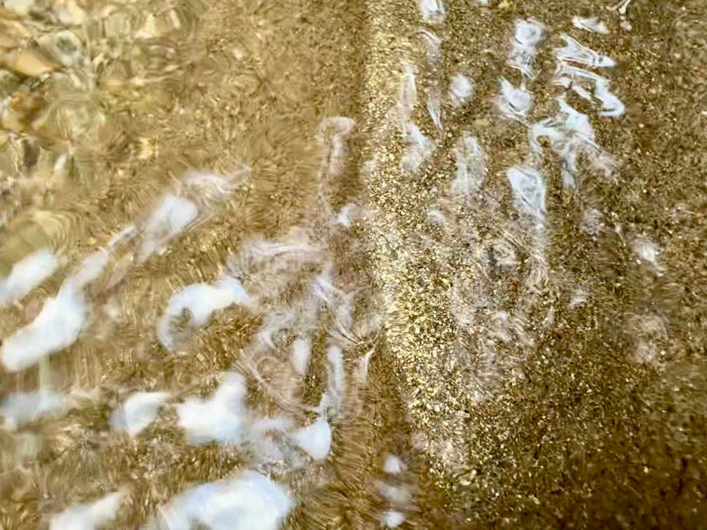 
川底の砂地に
キラキラ金色の筋ができてる🤩

✨砂金✨

…な訳ないよね🤣
ホントの砂金だったら
比重が重いから 砂の上に
乗っかってる訳ない🤣🤣🤣
雲母なのかな🤔❓
