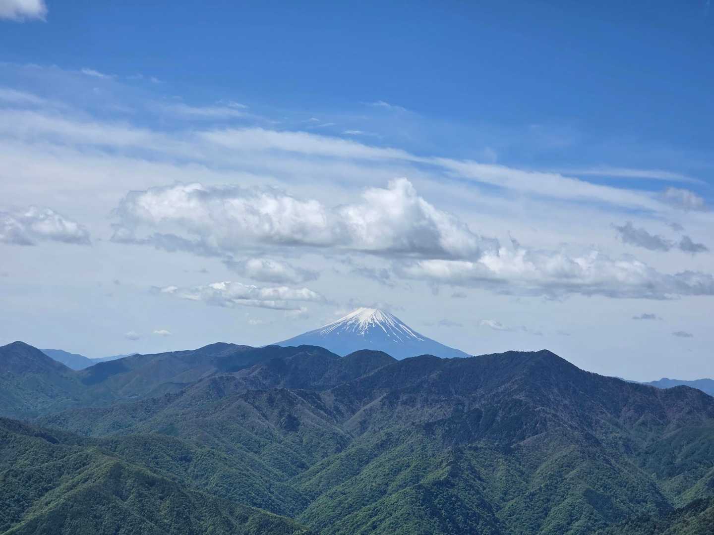 素晴らしい✨️