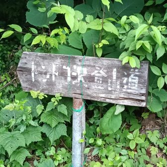 ふ。いいさ。このまま南アルプス行っちゃえ。