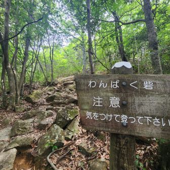 わんぱく(笑)