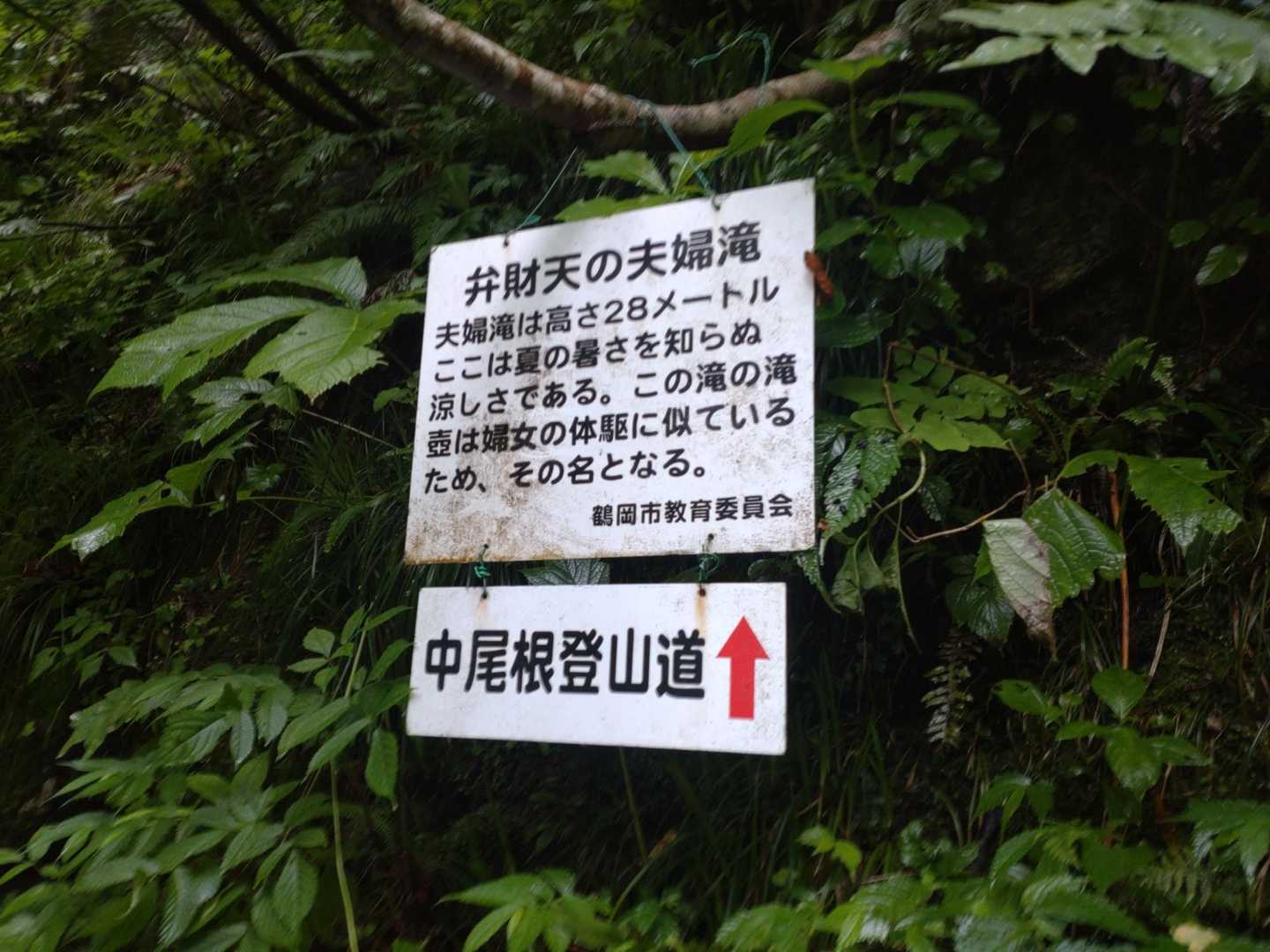 なるほど☺