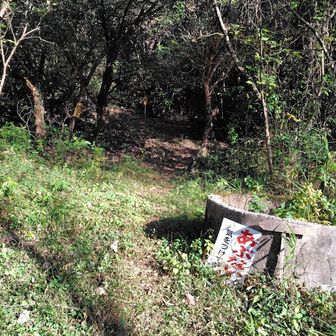 標識はないが、ここが登山口らしい。