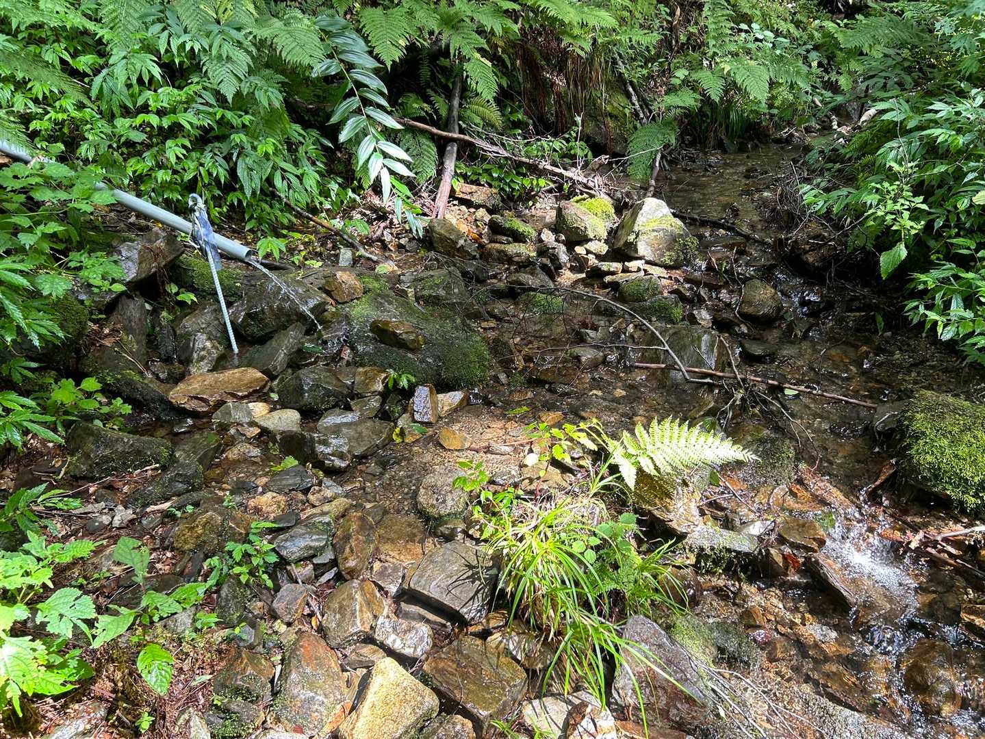 足の松尾根登山口-頼母木山-朳差岳 往復コースの写真