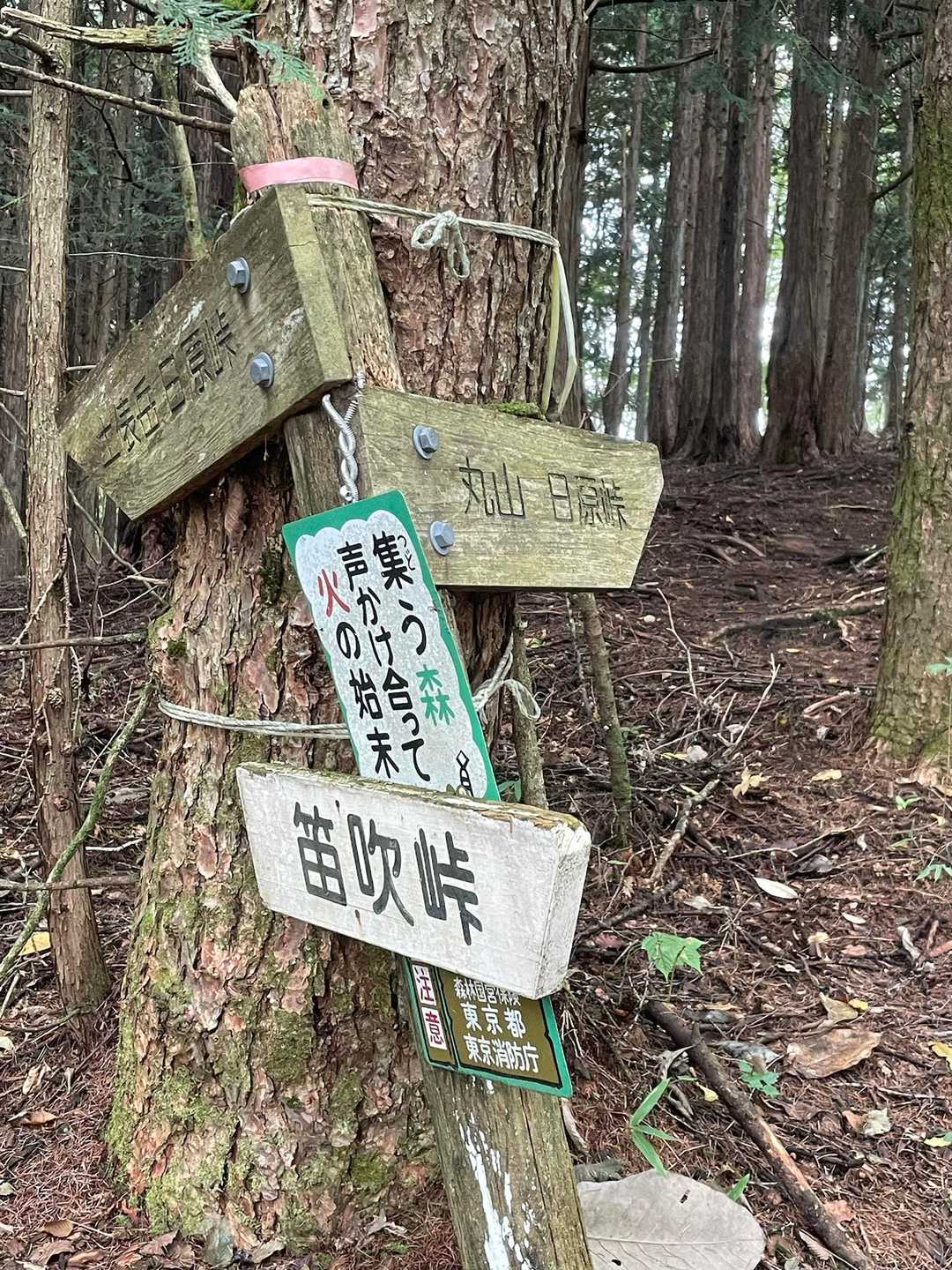うずしき峠。つい「ふえふき」と読んでしまう。
