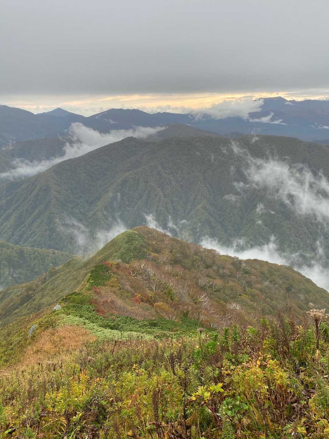 大平山 往復コースの写真