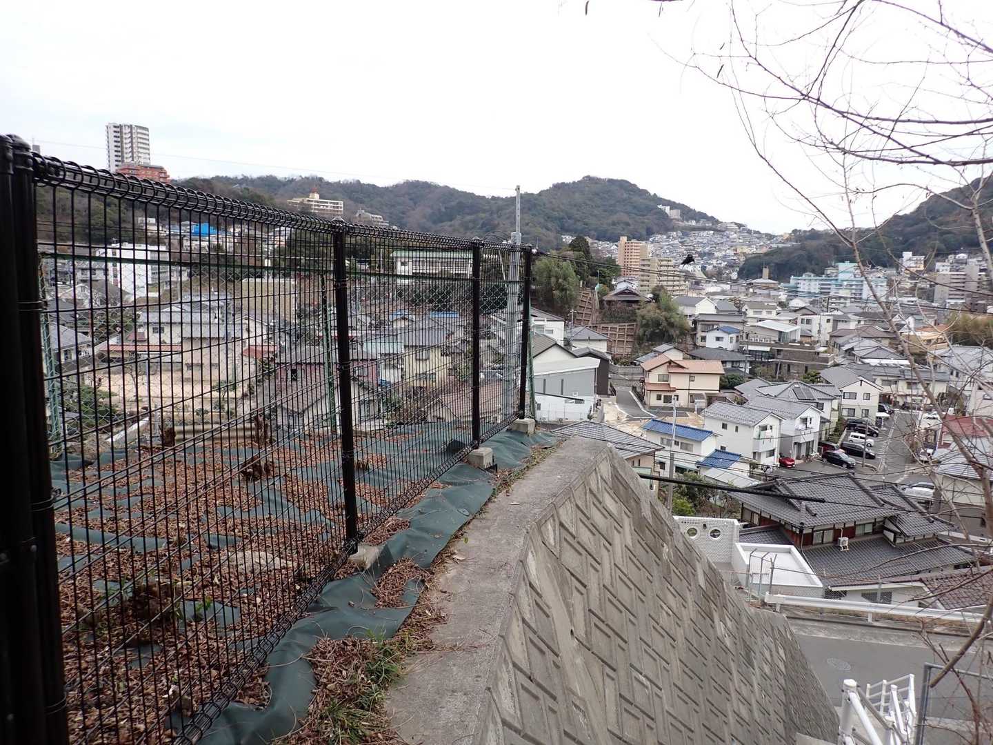 縦走して来たお山👀