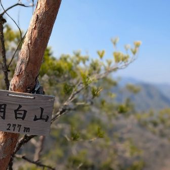 明白山　山頂
ここは初登頂
なんてことない狭い山頂