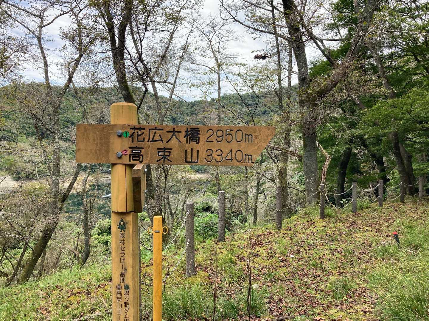 この近くに駐車してスタート
