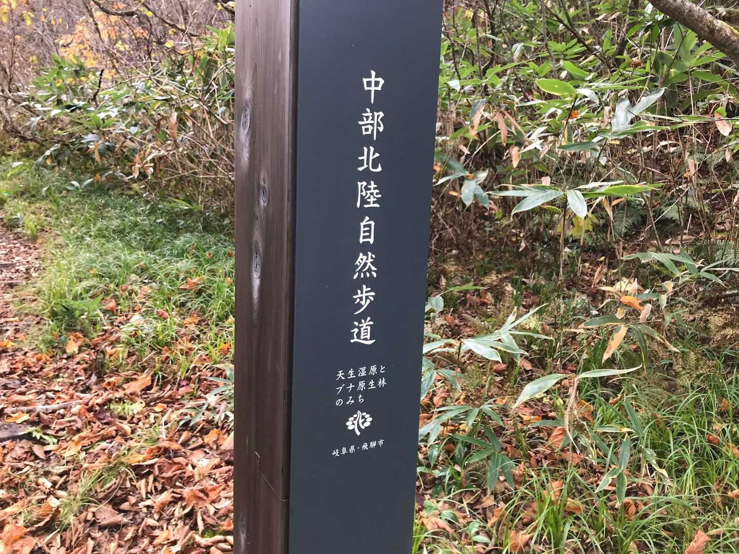 天生峠-籾糠山 往復コースの写真