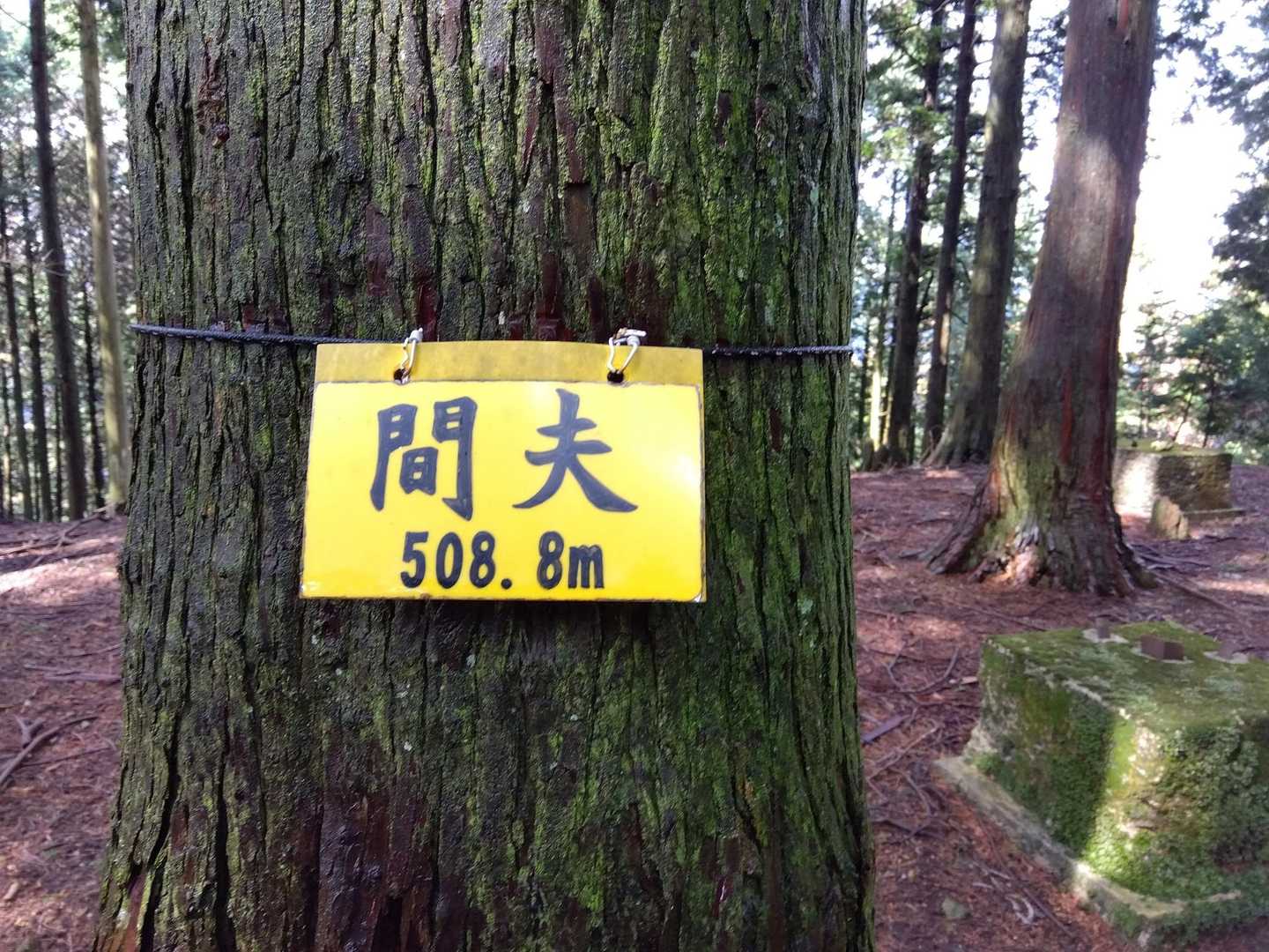 間夫(まぶ)⛰️山頂に到着