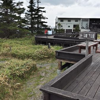 下山道の入口