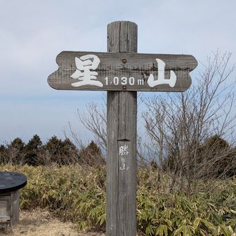 霞んで眺望良くないから扇山向かいます！