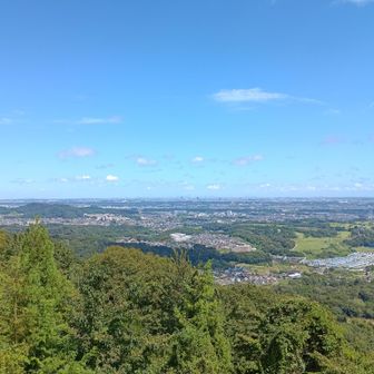 副都心のビル群、東京タワー🗼、スカイツリーが見える。でも今日は🥵て空気が霞んで見えなかった。
