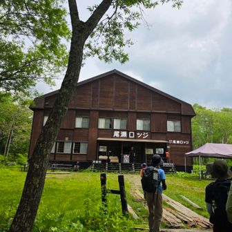 戻って来ました。