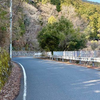 ここから急にロード。