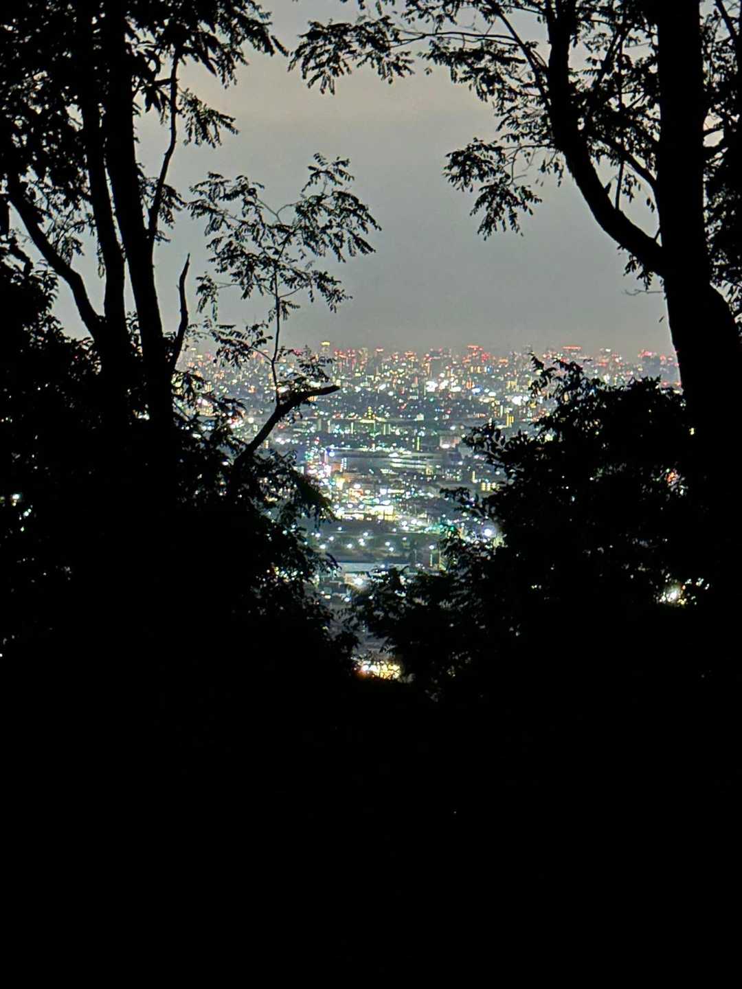 枚岡神社・神津嶽 往復コースの写真