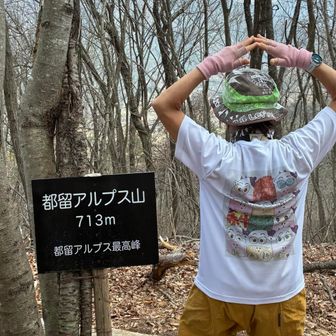 都留アルプス山