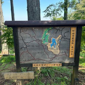草戸山「町田市最高地参六四米」