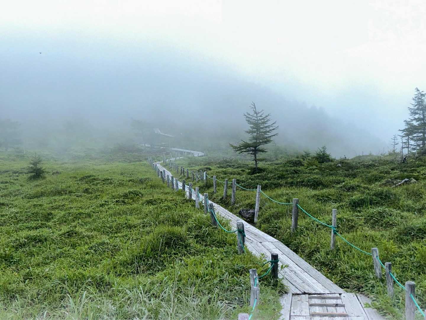 池ノ平湿原入口-雷の丘-雲上の丘-見晴岳-三方ヶ峰 周回コースの写真