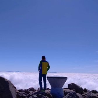 パタゴリラとグレゴリラ