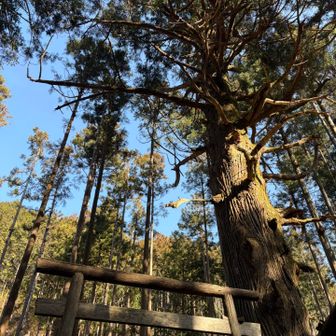 何度も見てしまう🤩