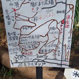 わかりやすい様な、そうでもない様な？