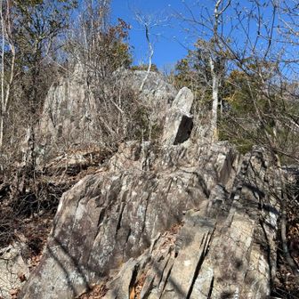 山頂手前は岩山っぽい