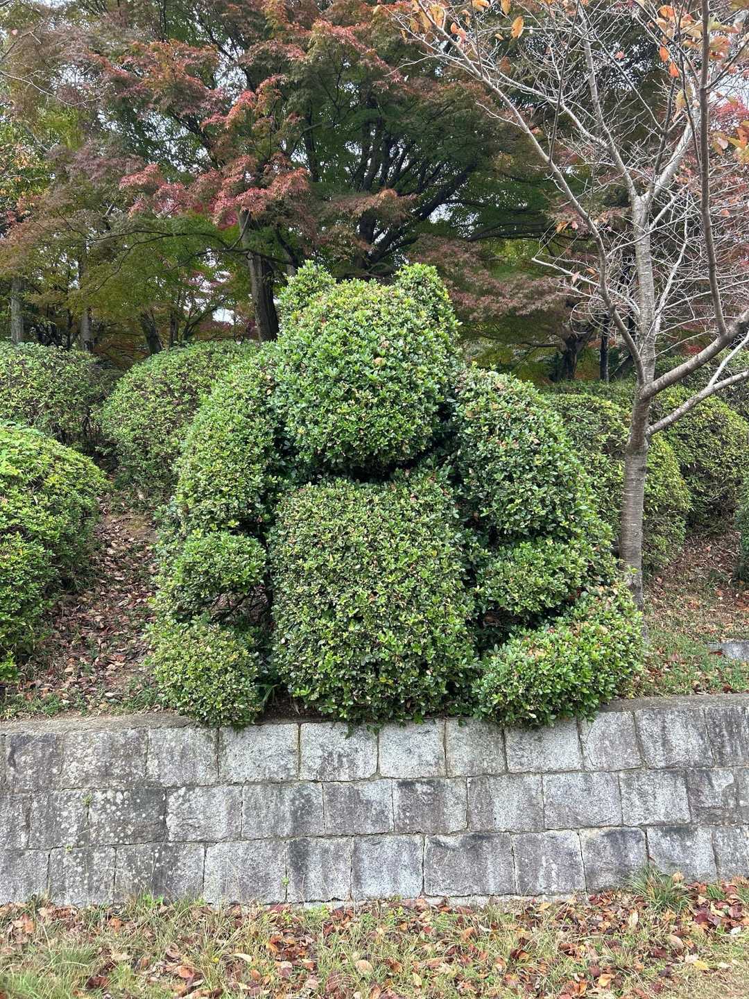 前より大きくなった感じ