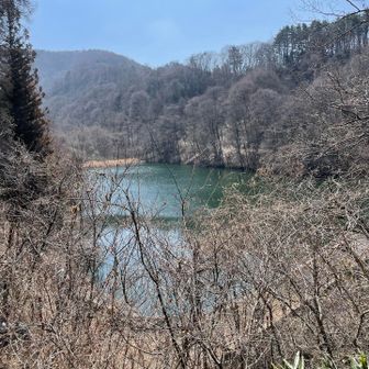 お寺の🅿️手前、ダムになってます。あれ？フランス式階段工見るの忘れたじゃん😆何やってんだか😭、また来なきゃじゃん😭こんな感じらしいです。

https://www.jcca.or.jp/dobokuisan/japan/chubu/franceshiki.html