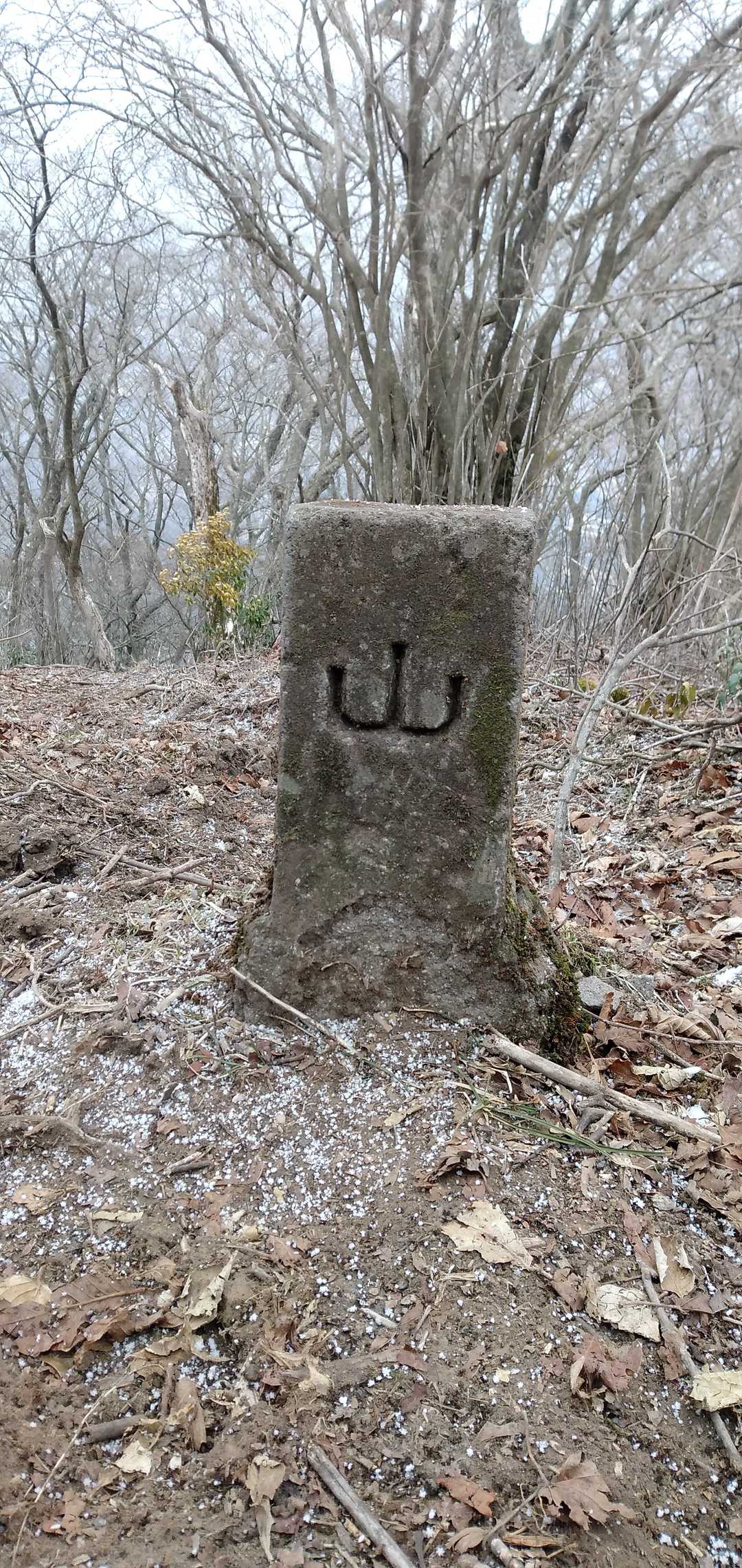 生駒登山口-夷守岳 往復コースの写真