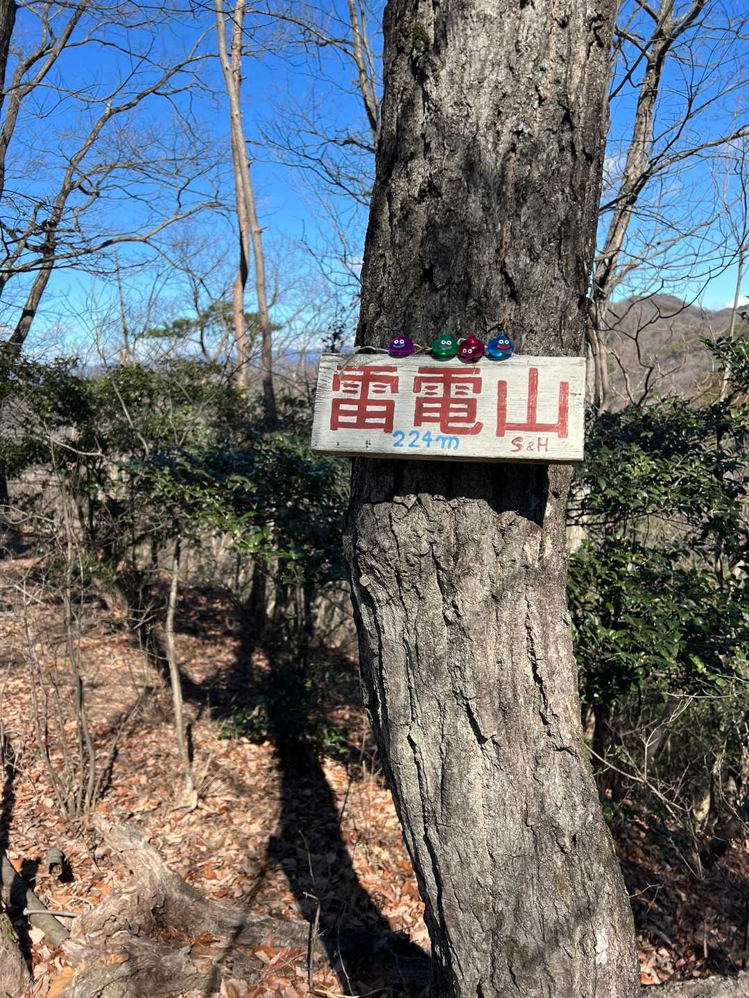 雷電山山頂　ちょっと広いけど木があって見晴らしは良くないです