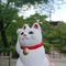 こだま