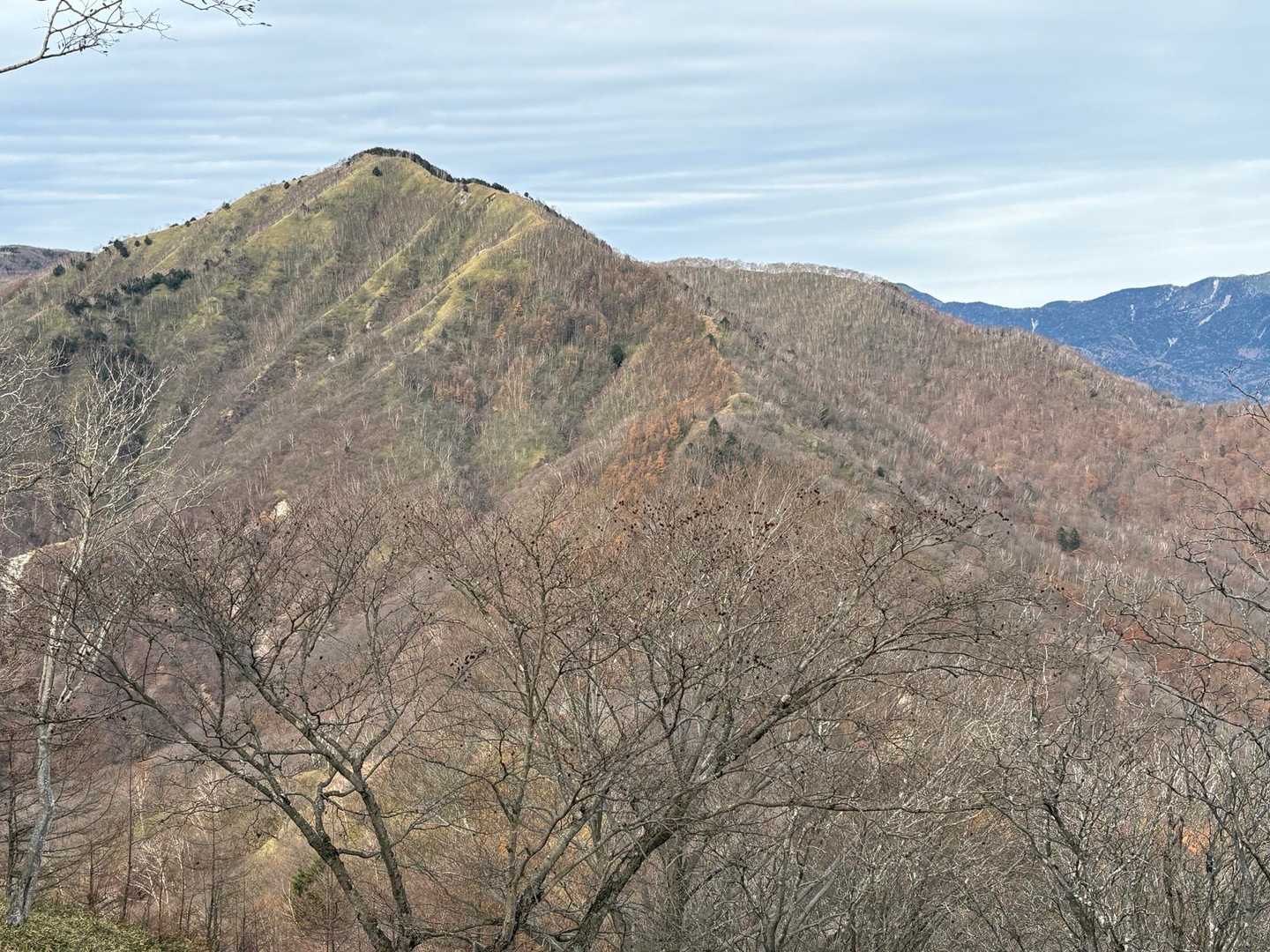 半月山-半月峠-中禅寺山-阿世潟峠-社山 往復コースの写真