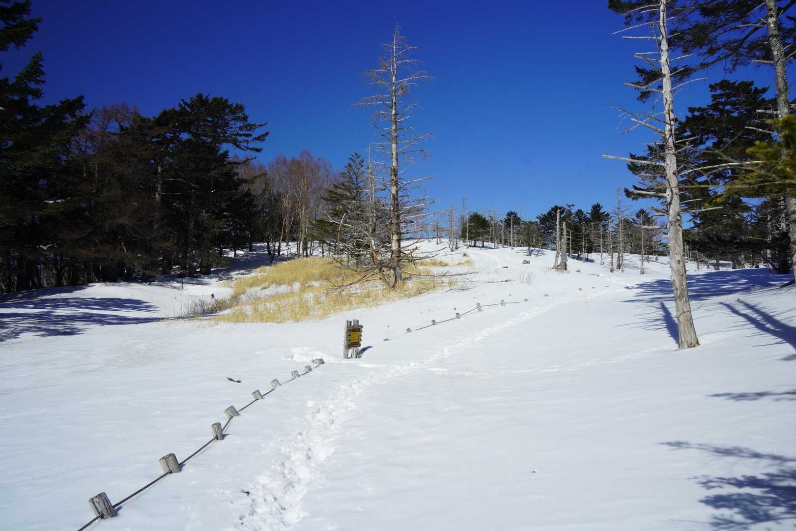 雪面がきれい！