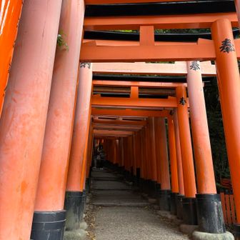 こんなに続くとは思ってなかった⛩️