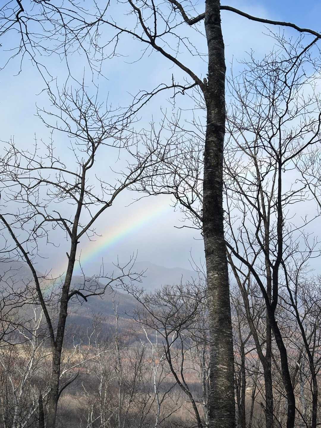 小雨の中、虹がかかる🌈