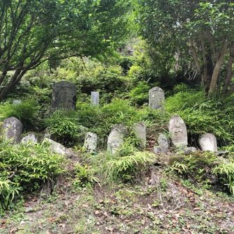 先祖代々、この地に住んでるんでしょうね。